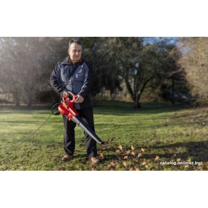 Колесная воздуходувка Einhell GC-EL 3000 E