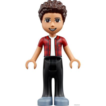 Конструктор LEGO Friends 41703 Дом друзей на дереве