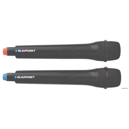 Патибокс Blaupunkt PB10DB