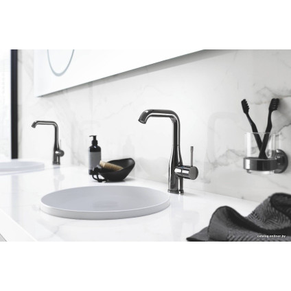 Держатель для мыльницы и стакана Grohe Essentials 40369A01 (темный графит)