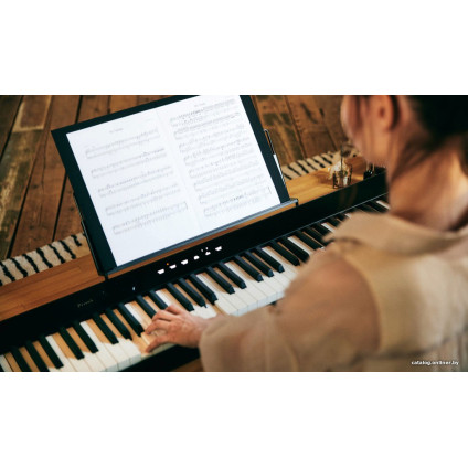 Цифровое пианино Casio PX-S1100 (черный)