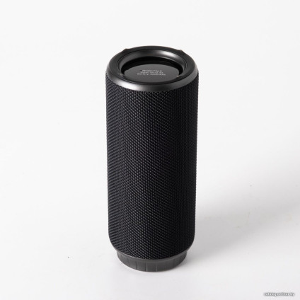 Беспроводная колонка Tonsil Flip 6