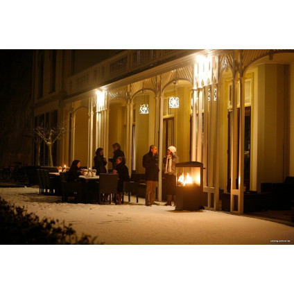 Биокамин Faber theBUZZ