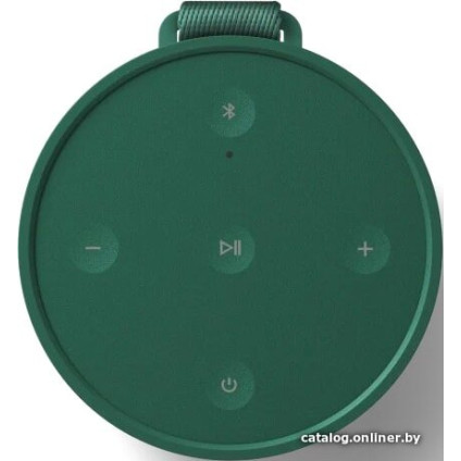 Беспроводная колонка Bang & Olufsen Beosound Explore (зеленый)