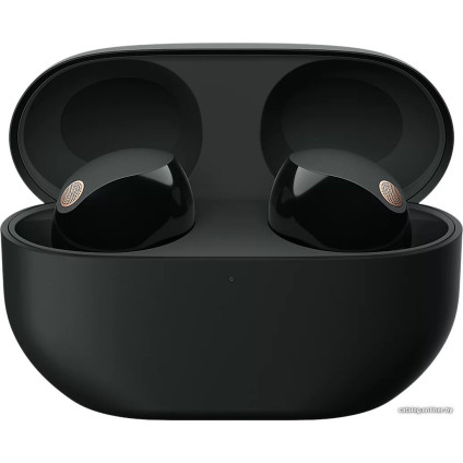 Наушники Sony WF-1000XM5 (черный)