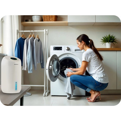 Осушитель воздуха Berdsen BD-529