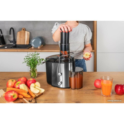 Соковыжималка Gotze & Jensen JM501X