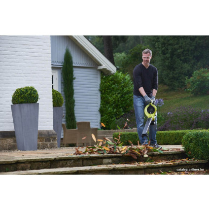 Колесная воздуходувка Ryobi RBV36B [5133002524]