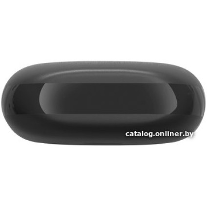 Наушники JBL Endurance Race (черный)