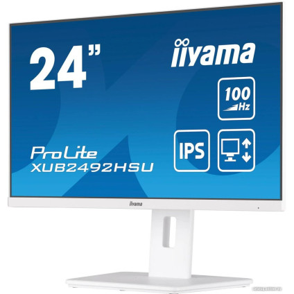 Монитор Iiyama ProLite XUB2492HSU-W6