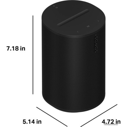 Беспроводная аудиосистема Sonos Era 100 (черный)