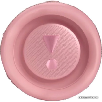Беспроводная колонка JBL Flip 6 (розовый)