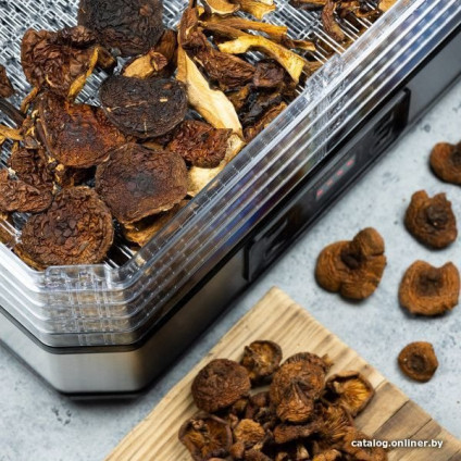 Сушилка для овощей и фруктов Klausberg KB-7569