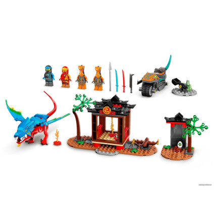 Конструктор LEGO Ninjago 71759 Драконий храм ниндзя