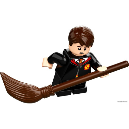 Конструктор LEGO Harry Potter 76395 Хогвартс: первый урок полетов