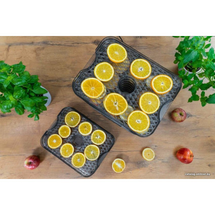 Сушилка для овощей и фруктов Goetze & Jensen FD800