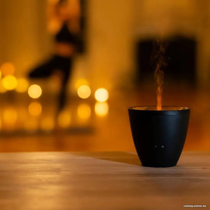 Увлажнитель воздуха Stadler Form Zoe (черный)