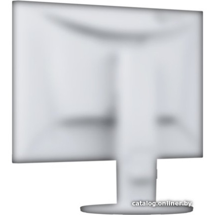 Монитор EIZO FlexScan EV2460-WT