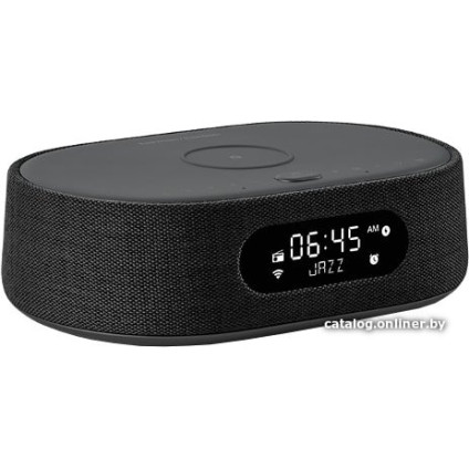 Умная колонка Harman/Kardon Citation Oasis (черный)