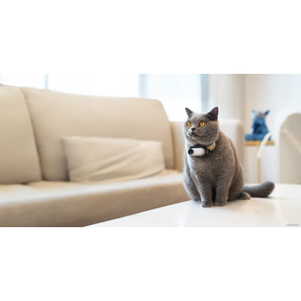 Экшен-камера Insta360 GO3 64GB (темно-черный)