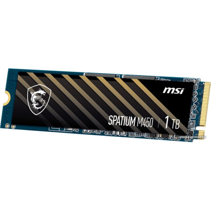 SSD MSI Spatium M450 1TB S78-440L920-P83