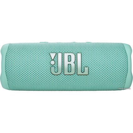 Беспроводная колонка JBL Flip 6 (бирюзовый)