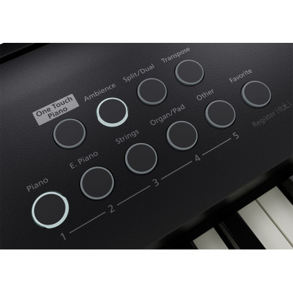Цифровое пианино Roland FP-E50