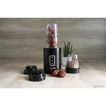 Стационарный блендер Concept SM1500