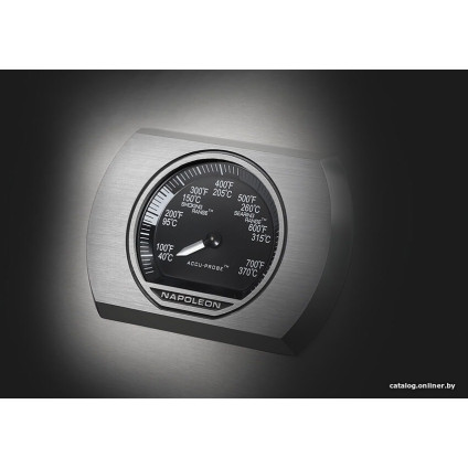 Газовый гриль для дачи Napoleon Rogue-625 SE