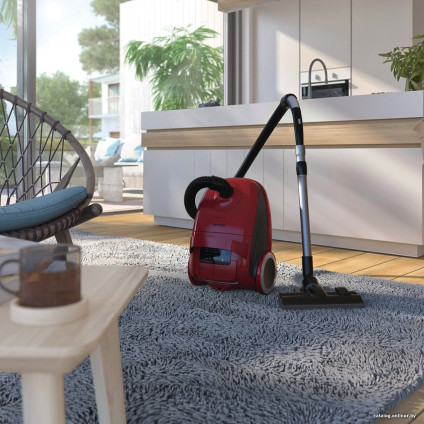 Пылесос Gorenje VCEA21GPRRCY