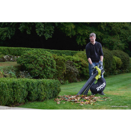 Колесная воздуходувка Ryobi RBV36B [5133002524]