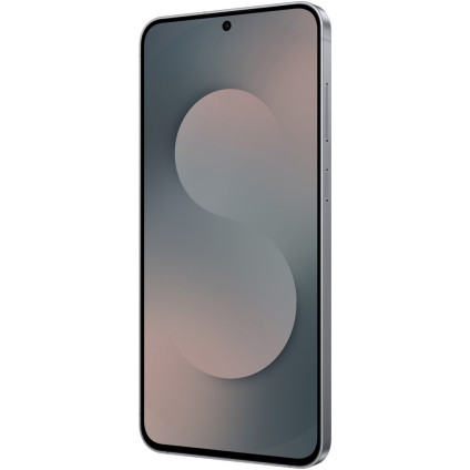 Телефон Samsung Galaxy S25 FE SM-S731B 8GB/256GB (черный)