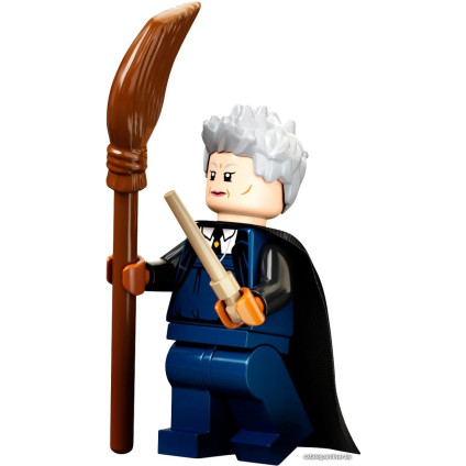 Конструктор LEGO Harry Potter 76395 Хогвартс: первый урок полетов