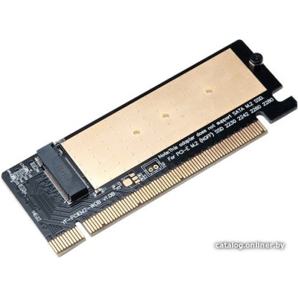 Адаптер Akasa AK-PCCM2P-05