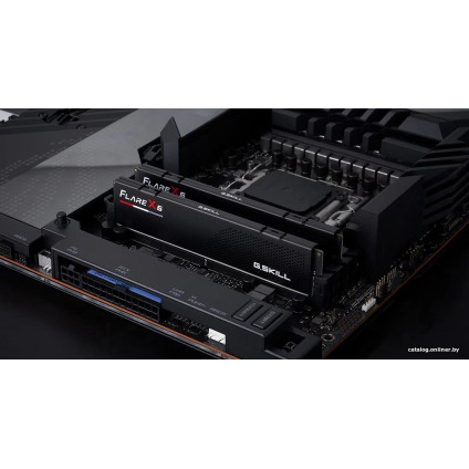 Оперативная память G.Skill Flare X5 2x24ГБ DDR5 5200 МГц F5-5200J4040A24GX2-FX5