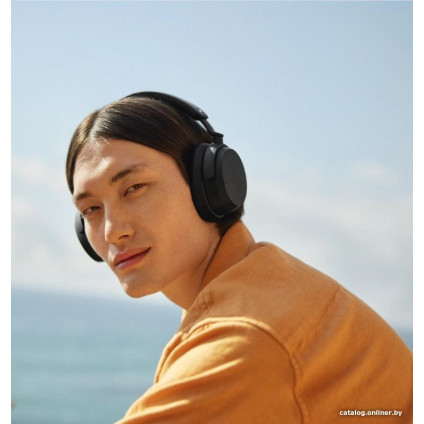 Наушники Sennheiser Accentum Wireless (черный)