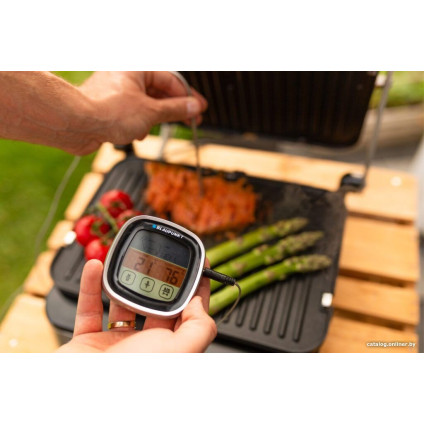 Электрогриль Blaupunkt GRS901