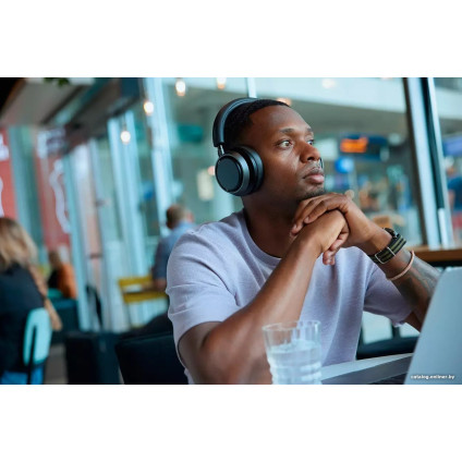 Наушники Philips Fidelio L4/00