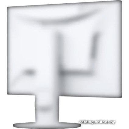 Монитор EIZO FlexScan EV2460-WT