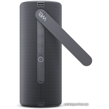 Беспроводная колонка Loewe We. HEAR 2 (черный)