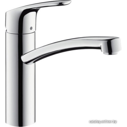 Смеситель Hansgrohe Focus 31806000
