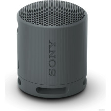 Беспроводная колонка Sony XB100 (черный)
