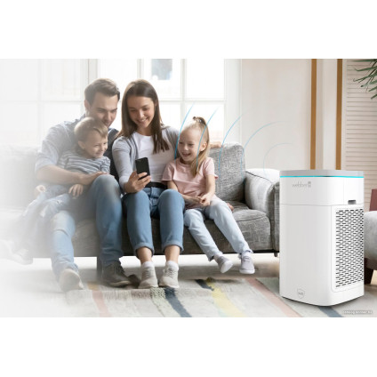 Очиститель воздуха Webber AP9800