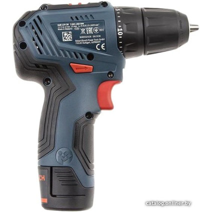 Дрель-шуруповерт Bosch GSR 12V-30 Professional 06019G9000 (с 2-мя АКБ, кейс)