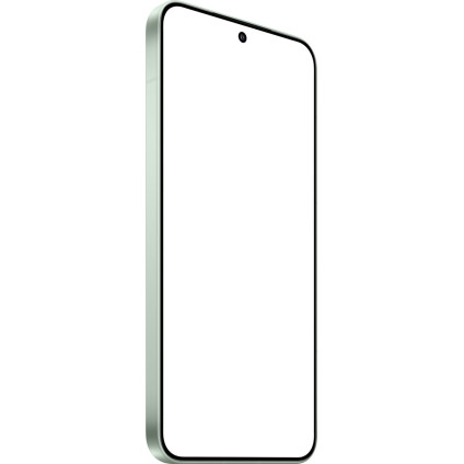 Телефон Xiaomi 15 12GB/512GB международная версия (зеленый)