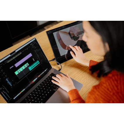 Портативный монитор Verbatim PMT-17 49593