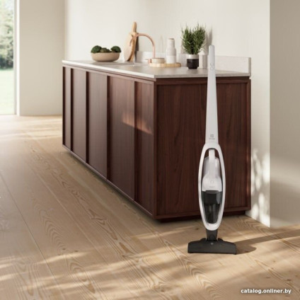 Пылесос Electrolux ES31CB18SH