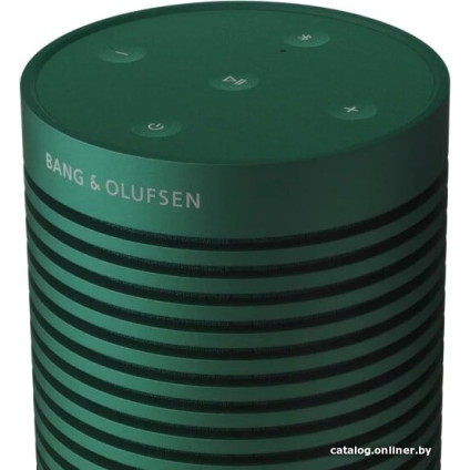 Беспроводная колонка Bang & Olufsen Beosound Explore (зеленый)