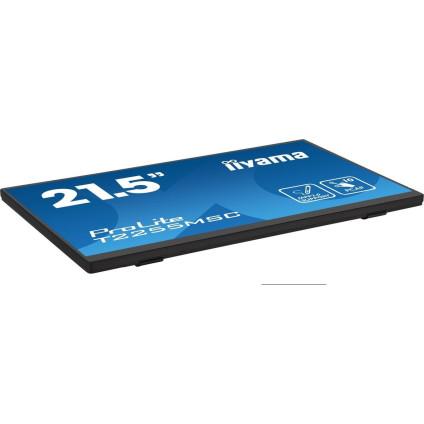 Портативный монитор Iiyama ProLite T2255MSC-B1