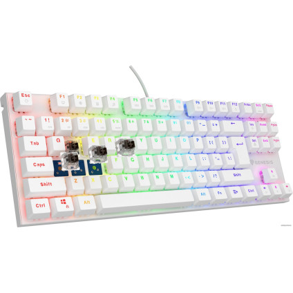 Клавиатура Genesis Thor 303 TKL RGB (белый, нет кириллицы)